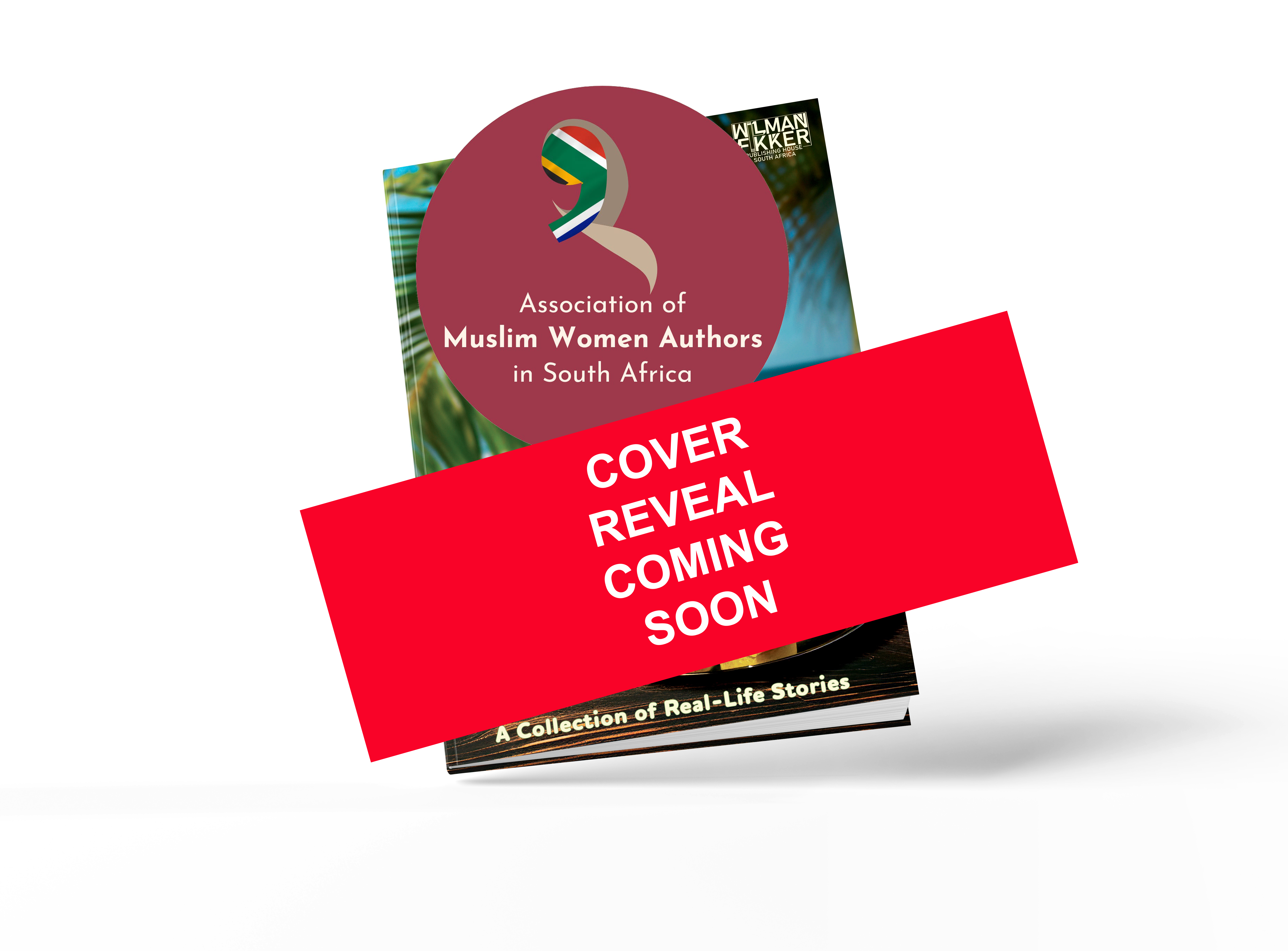 Cover of Barfi Books Volume 2